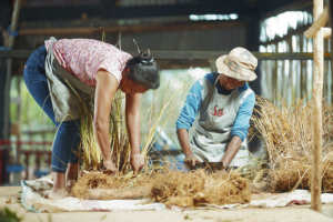 Aceite Esencial de Vetiver 100% Puro y Natural, Destilado al Vapor, Profundamente Relajante, Regenerador de la Piel, Ingrediente Cosmético, Madagascar - Product Image 2