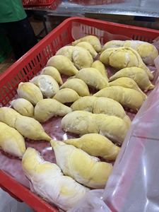 Durián Congelado Dulce de Alta Calidad, Orgánico, Monthong Ri6 Musang King LQF, Envasado al Vacío, de Granja Vietnamita, Marca 99 Gold Data - Product Image 4
