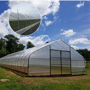 Bán Thương Mại Duy Nhất Khoảng Nhựa Màu Xanh Lá Cây Nhà Cấu Trúc Cây Cà Chua Phát triển Đường Hầm Prefab Nông Nghiệp Nhà Kính Khung - Product Image 6