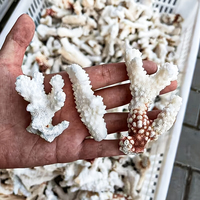 Vente en gros de fleurs en pierre blanche tachetée, corail artificiel, cristal artisanal pour la décoration de la maison Feng Shui