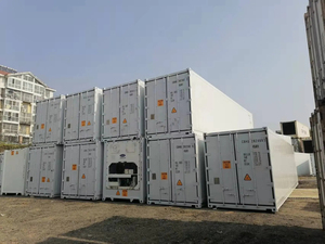 <strong>40ft</strong> Refrigerator <strong>Container</strong> Thermo King Reefer <strong>Container</strong> 20ft Single Phase With Solar Carrier <strong>40ft</strong> Reefer <strong>Container</strong> - Product Image 3