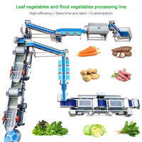 Lonkia Automatische Plantaardige Productielijn Salade Groente Verwerkingslijn Salade Wasmachine