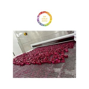 Fruta de dragón congelada de alta calidad de Vietnam, variedades rojas y blancas, precio barato a granel, directo de fábrica de confianza - Product Image 2