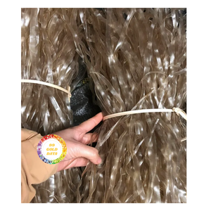 CALIDAD PREMIUM ARROWROOT VERMICELLI PROVEEDOR DE VIETNAM MATERIAL NATURAL PRECIO COMPETITIVO PARA EXPORTADORES - Product Image 5