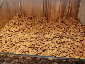 Almendras orgánicas frescas y saludables de Brasil de grano grande con embalaje hermético fuerte Proveedor de aperitivos de frutos secos y granos - Product Image 3