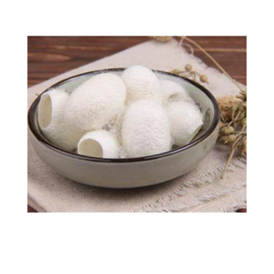 Capullos de seda cruda para uso facial Exfoliación suave para una piel suave y radiante - Product Image 5