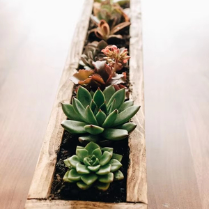 Pot de fleurs en bois Village souhaitant bien jardinière arrière-cour décor de jardin jardinières créatives en bois écorce de sapin pots de fleurs jardin - Product Image 6