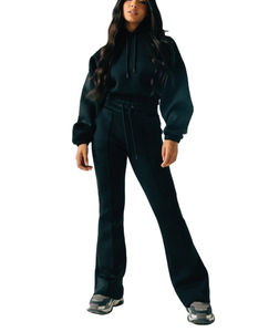 Venta al por mayor OEM 2 piezas sólido Stand Collar Crop Hoodies & Joggers conjuntos de alta calidad de algodón chándal para las mujeres - Product Image 2