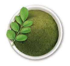 Bulk Supplier of <b>Indigo</b> <b>Powder</b> From Indian Leading Exporter - Product Image 2