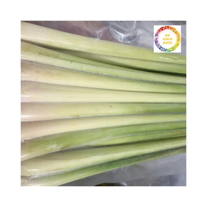 Rodajas de hierba de limón congeladas envasadas al vacío sin aditivos para uso en la industria alimentaria de Vietnam - Product Image 3