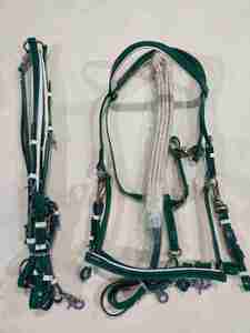 Bridon d'endurance en cuir haute résistance conçu pour les professionnels, garantissant un contrôle supérieur du cheval et une performance d'équitation confortable - Product Image 3