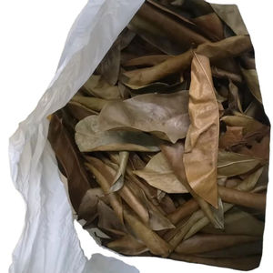 ใบทุเรียนเทศขายส่ง | ออร์แกนิกแห้งและทำความสะอาด | การเกษตรเวียดนาม - Product Image 1