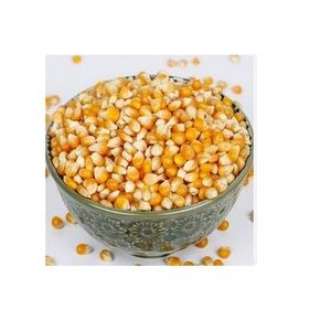 Chất lượng đảm bảo Ngô Ngô Snack gói lý tưởng cho nhanh chóng Munching trên giá bán bởi Ấn Độ xuất khẩu Ngô ngô - Product Image 1