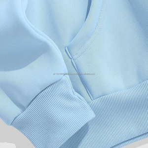 Sweats à capuche pour hommes, vêtements de sport pour hommes, vêtements de rue, basiques en coton mélangé, poids lourd, 100% coton, sweats à capuche de qualité supérieure - Product Image 3