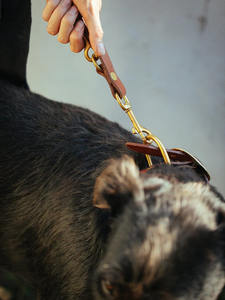 Training <b>Dog</b> <b>Leash</b> - Dark Brown - Product Image 4