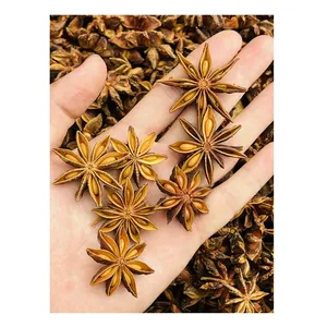 SPRING STAR ANISE High Quality Dried Spice Dried Star Anise Grade Brown Raw Single Herbs and Spices