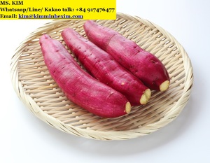 Patata Dulce Fresca de Alta Calidad, Nueva Temporada, Proveedor de Grado de Exportación de Vietnam - Product Image 4
