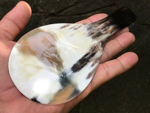 Cucharas de Cuerno de Búfalo Natural Ecológicas Hechas a Mano para el Hogar, Hotel, Restaurante, Cafetería, Fiestas y Eventos - Product Image 4