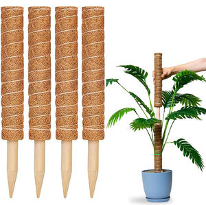 Kit de 4 poteaux en plastique recouvert de mousse pour plantes d'intérieur Monstera, avec attaches et étiquettes de jardinage, support pour plantes d'intérieur, frais de port inclus, stock US - Product Image 1