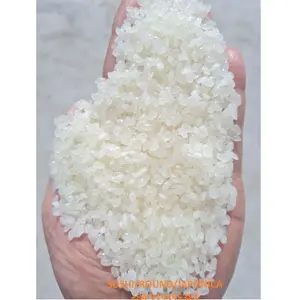 Japonica Round Rice Short Sushi Japanese Rice Riz from Vietnam Supplier- Whatsapp: +84-915355383