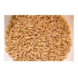 Grains d'avoine de qualité les plus importantes céréales fourragères enrichies en vitamines et minéraux prix - Product Image 6