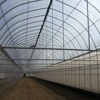 Grande serre hydroponique en polycarbonate avec couverture en feuille de PC, structure métallique, toit arqué pour utilisation en extérieur dans les jardins