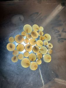 กระดุมเสื้อทำจากเขาควายแท้ 100% คุณภาพดีเยี่ยม กันน้ำ แฟชั่นใหม่ อุปกรณ์เย็บผ้า HF - Product Image 2