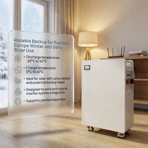 Batterie de stockage d'énergie pour maison mobile 16 kWh LiFePO4 51,2 V 314 Ah pour système de secours d'alimentation domestique et de camping-car - Product Image 6