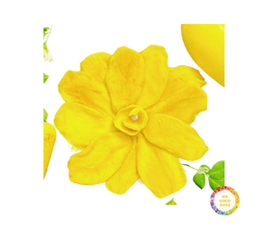 MEILLEURS MORCEAUX DE MANGUE SÈCHE DOUCE PRIX DE GROS TRANCHEES MOELLES MANGUE MURIE SANS COLORANT ARTIFICIEL SAVEUR VENTE EN GROS MARQUE PRIVÉE OEM - Product Image 4