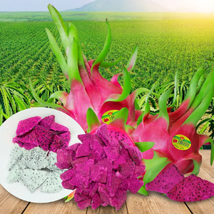 ผงมังกรสีชมพูบริสุทธิ์ใช้บรรจุจำนวนมากจากโรงงานเวียดนามขายส่ง - Product Image 6