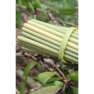 Biodegradable and Dried Grass <b>Straws</b> <b>Drinking</b> Eco-Friendly and Disposable Vietnam Made of 100% Material Grass in Vietnam - Product Image 6