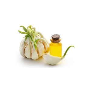 Suministro directo de fábrica 100% aceite esencial de ajo natural puro - Product Image 1