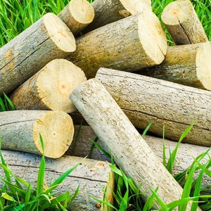 Arena para gatos, viga de madera de pino, construcción de madera maciza, tablero de pino resistente al agua, precios de construcción, ranura de madera, pino - Product Image 6