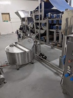 Hete Aanbieding Fabrieks Prijs Sapverwerkingsmachine Fruitverwerkingslijn 500kg/u