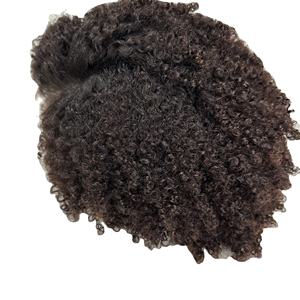 Nueva peluca rizada birmana sin pegamento y trama de cabello máquina de piel doble paquetes de belleza para mujeres extensiones de cabello humano originales - Product Image 2