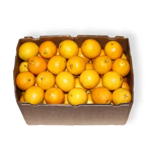 Venta al por mayor de fábrica Delicioso dulce fruta cítrica fresca Naranjas frescas Rojo Citrus Rojo Naranja para la venta