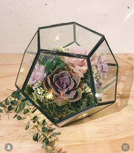 Best Selling Price Metal Geometric <b>Glass</b> Terrarium <b>Sphere</b> Shape Home Decor Gold Vintage Customization Geometric <b>Glass</b> Terrarium - Product Image 4