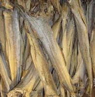 Têtes de poisson et de morue séchés/Tailles de morue et de poisson séché pour l'exportation