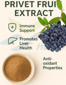 Approvisionnement direct d'usine HGO d'extrait de fruit privé naturel pur (Ligustrum lucidum) (qualité alimentaire) spécification 10:1 - Product Image 5