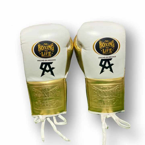 Gants de boxe en cuir véritable personnalisés de qualité supérieure avec lacets, design « No Boxing No Life » en or - Product Image 1