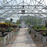 Serre en Polycarbonate pour la culture de légumes