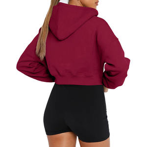 Haute qualité femmes à manches longues haut court sweat à capuche zippé Y2K pull décontracté coupe ample pour automne/hiver Logo avant - Product Image 4