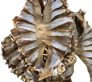 Producto recomendado: pescado seco de raya para exportación - Product Image 1