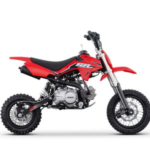 Notre haute qualité 2025 SSR SR110SE PRÊT À ÊTRE EXPÉDIÉ DANS LE MONDE ENTIER 2025 - Product Image 1