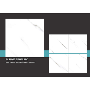 Baldosa de Porcelana Esmaltada de 60x60 cm, Aspecto Mármol, Acabado Pulido, Borde Rectificado, Uso Interior y Exterior - Product Image 2