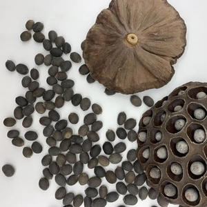 WHOLESALE ORGANIC VIETNAMESE DRIED BLACK LOTUS <b>NUT</b> WITH BEST PRICE FROM BEST SELLER MARY - Product Image 2