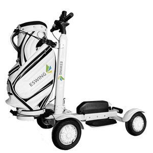 High Performance 10-Inch <b>Foldable</b> With 2000W Single Portable 4-Wheel <b>Trolley</b>-Available-in-stock - Product Image 3
