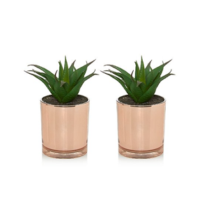 Juego de macetas galvanizadas antiguas modernas 3 jardín casero lujoso decorativo tamaño regular más precioso uso de suelo de plantación de vivero - Product Image 3