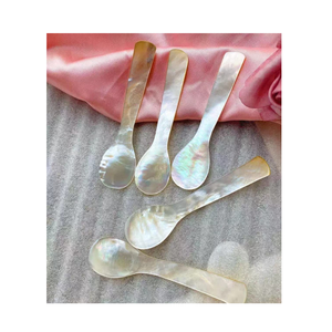 Cuillère en nacre de haute qualité: Offre Spéciale d'artisanat de coquillage et de conque de luxe, en gros, réutilisable, écologique 2025 - Product Image 4