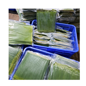Hojas de plátano congeladas de primera calidad para embalaje ecológico Envoltura natural de grado alimenticio Sellado al vacío Exportación - Product Image 4